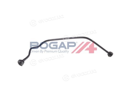 Bogap C4255101