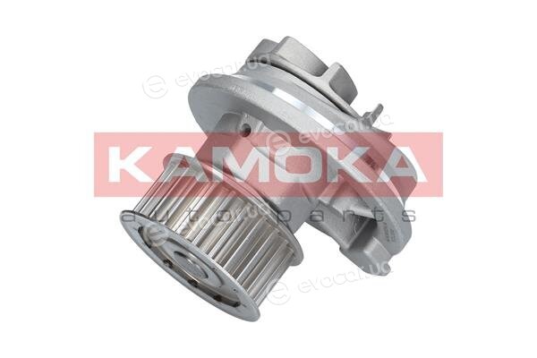 Kamoka T0069