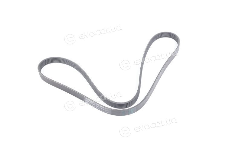 Continental 6PK1448