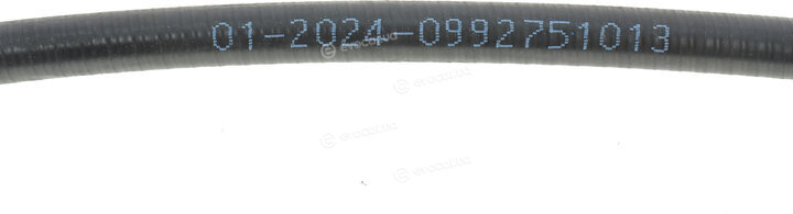 Solgy 219040