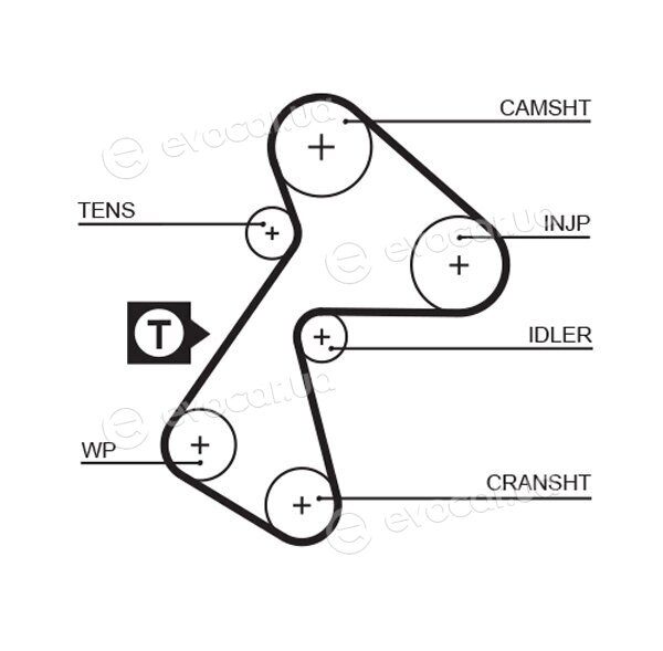 Gates K015484XS