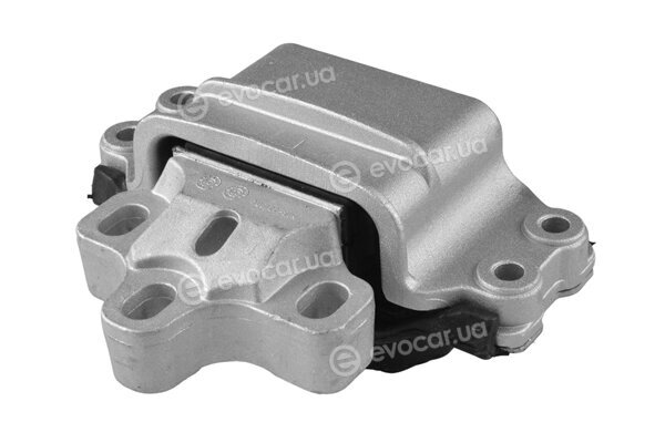 Tedgum TED41441