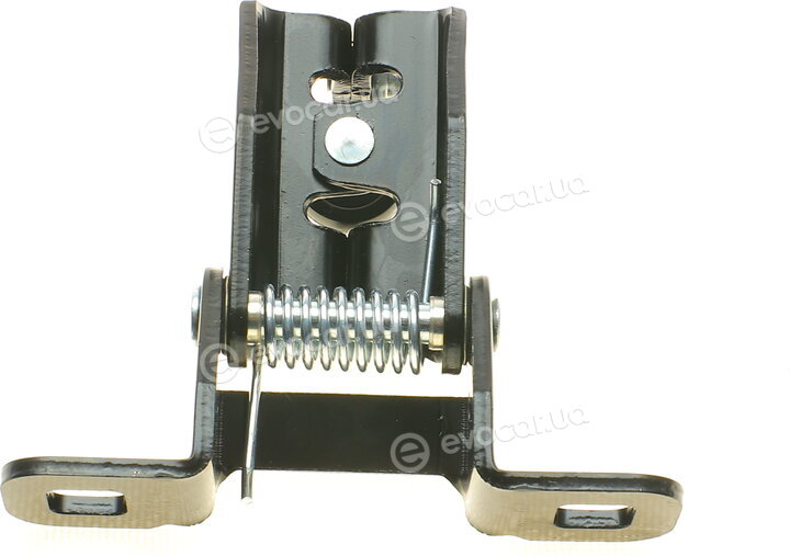 AIC 55575