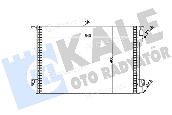 Kale 388900