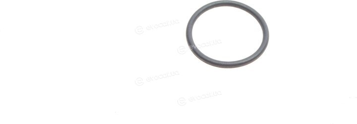 Elring 306.130
