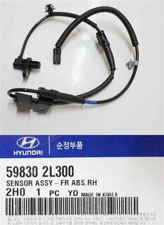Kia / Hyundai 598302L300