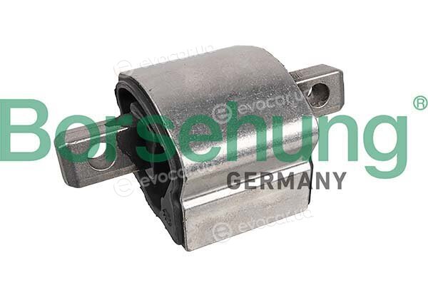 Borsehung B12659