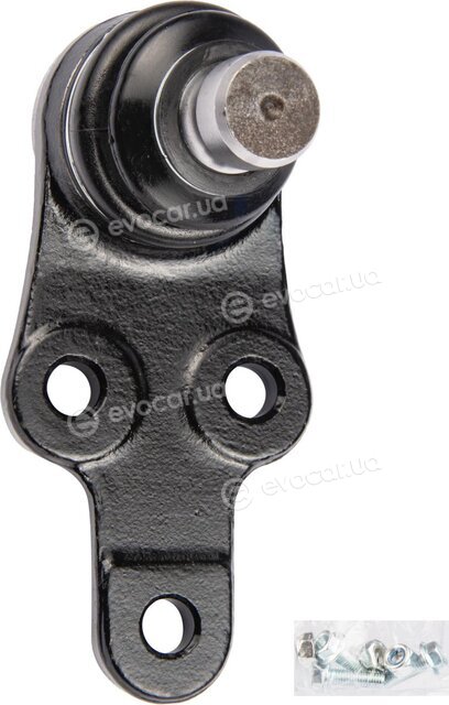 Raiso RL111578F