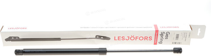 Lesjofors 8156811