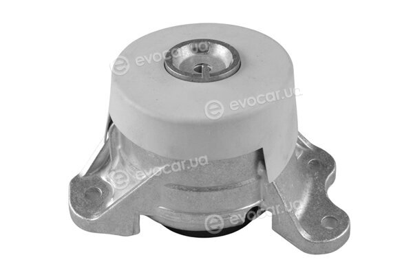Tedgum TED42670