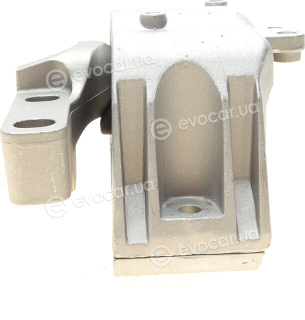 AIC 50219