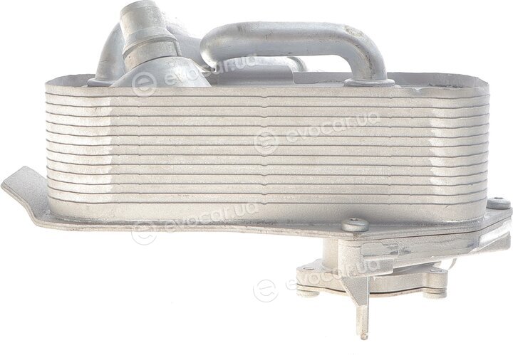 Adler 17217536929