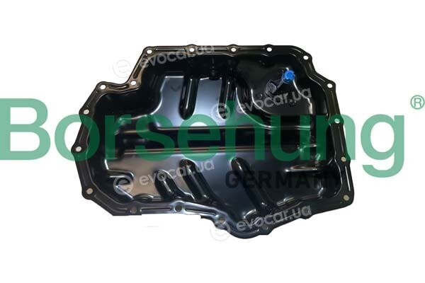 Borsehung B12434