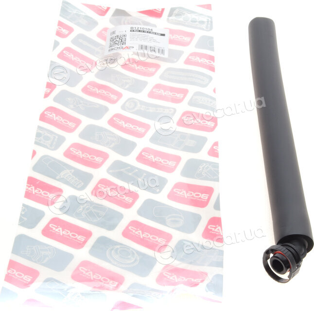 Bogap B1210104