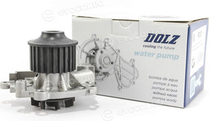 Dolz R301