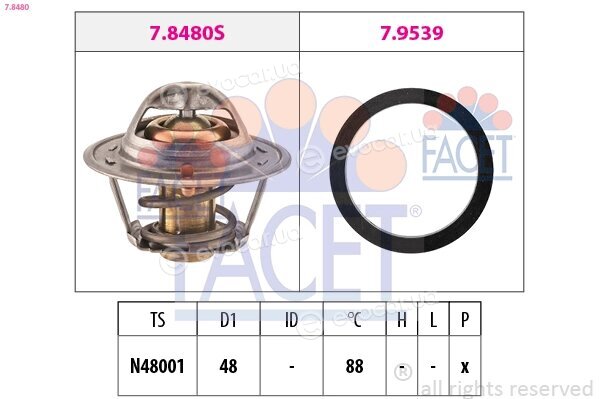 Facet 7.8480