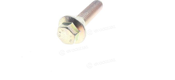 Solgy 203160