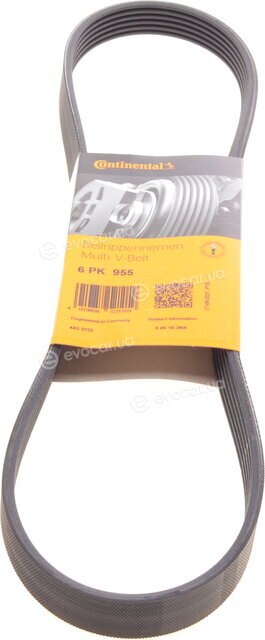 Continental 6PK955