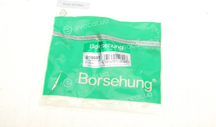 Borsehung B10001