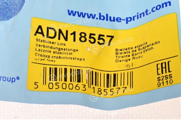 Blue Print ADN18557