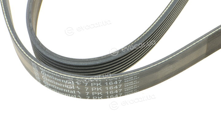 Continental 7PK1647