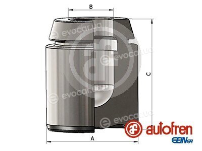 Autofren D025493
