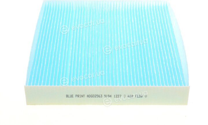 Blue Print ADG02563