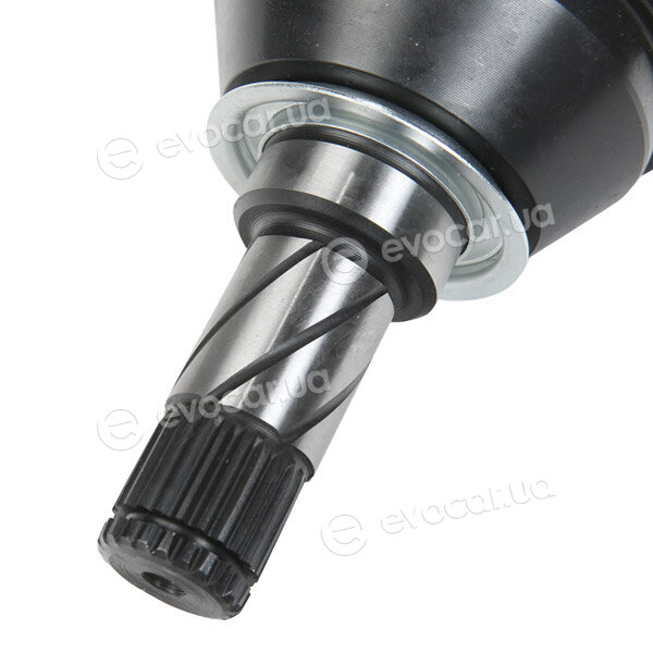 Ridex 5J0241