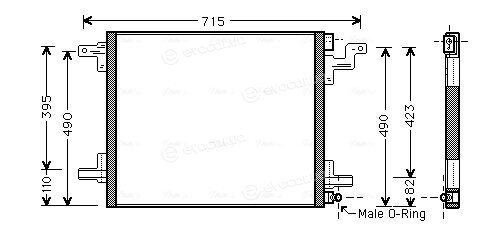 AVA MS5377