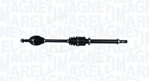 Magneti Marelli 302004190243