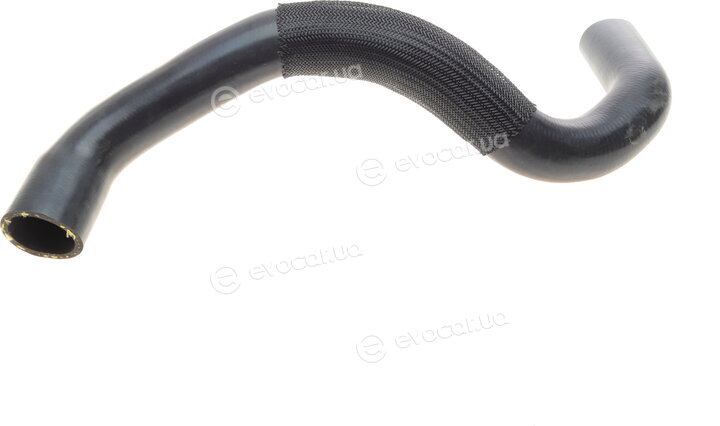 Solgy 114258