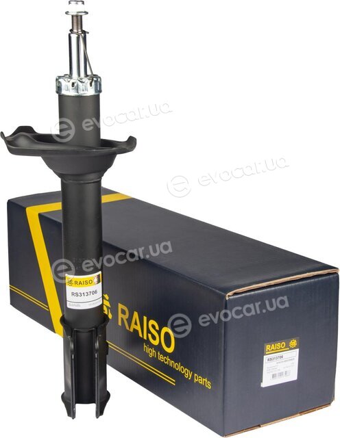 Raiso RS313706
