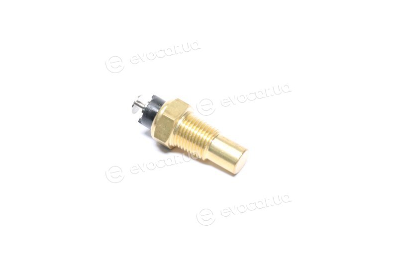Magneti Marelli 171916011710