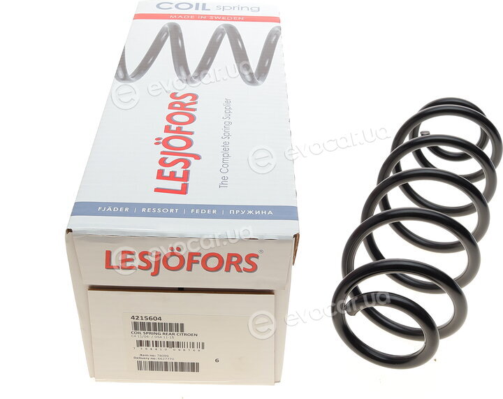 Lesjofors 4215604