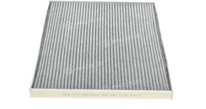 Blue Print ADBP250011