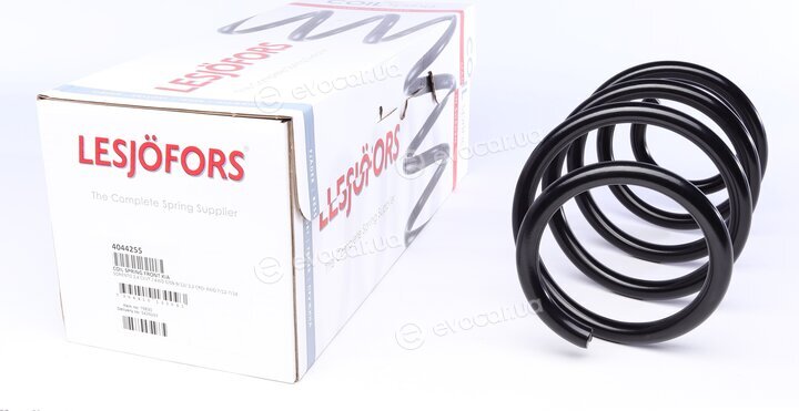 Lesjofors 4044255