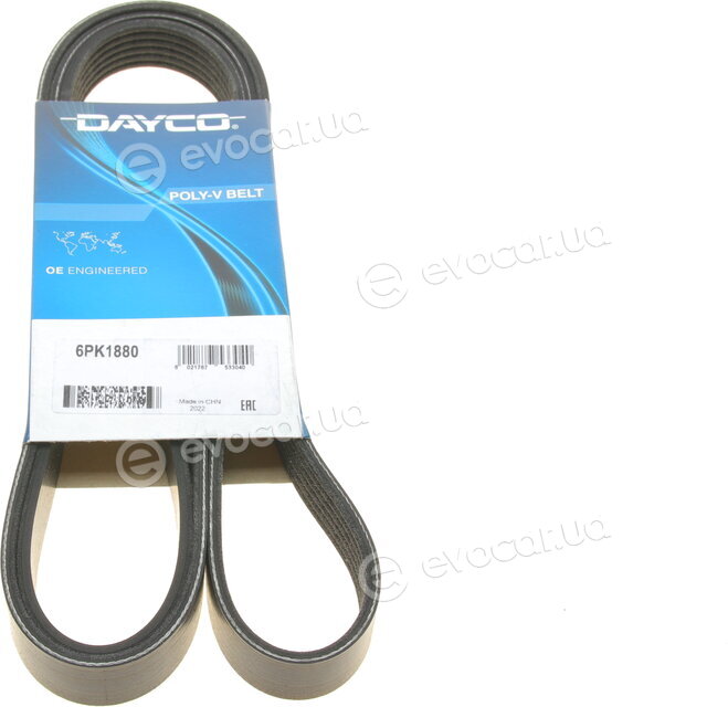 Dayco 6PK1880