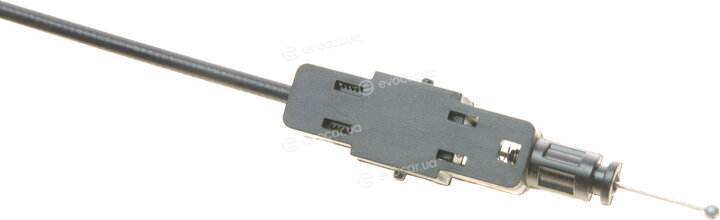 Solgy 306121