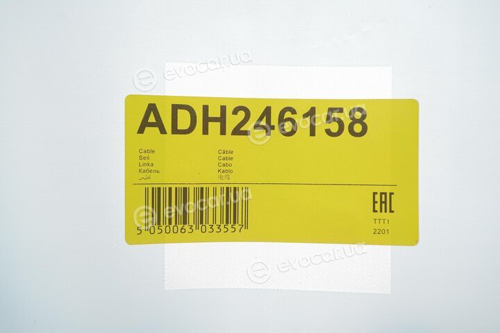 Blue Print ADH246158