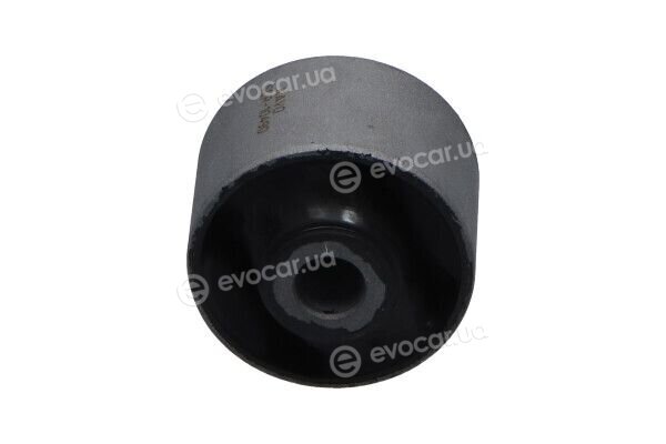 Kavo SCR-10490