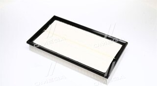 Champion CAF100700P
