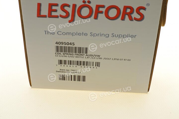 Lesjofors 4095045