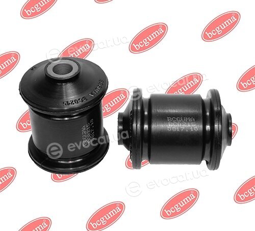 BC Guma 0215