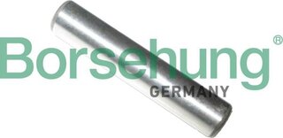 Borsehung B13349