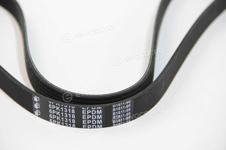 BGA 6PK1318