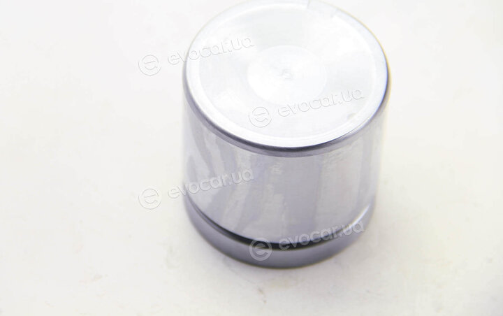 Autofren D025112