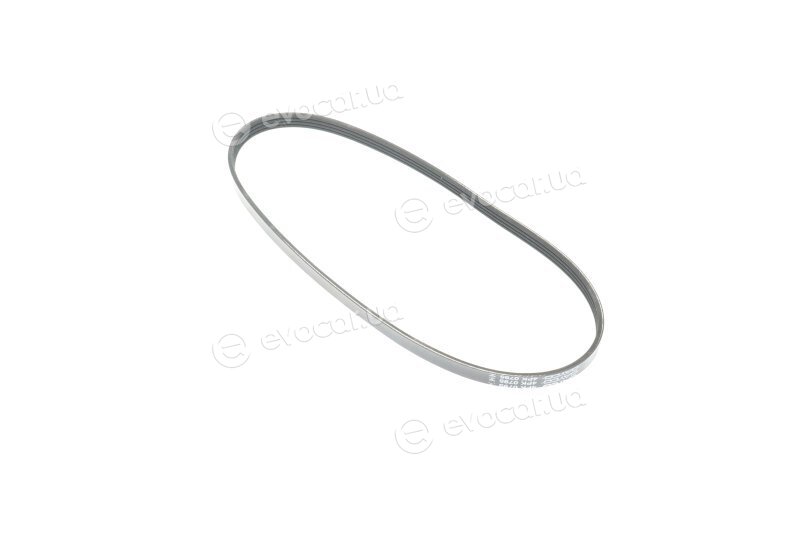 Dayco 4PK795