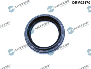 Dr. Motor DRM02170