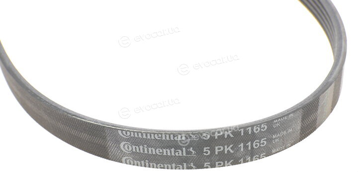 Continental 5PK1165