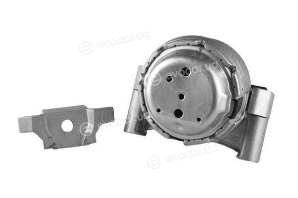 Tedgum TED66421